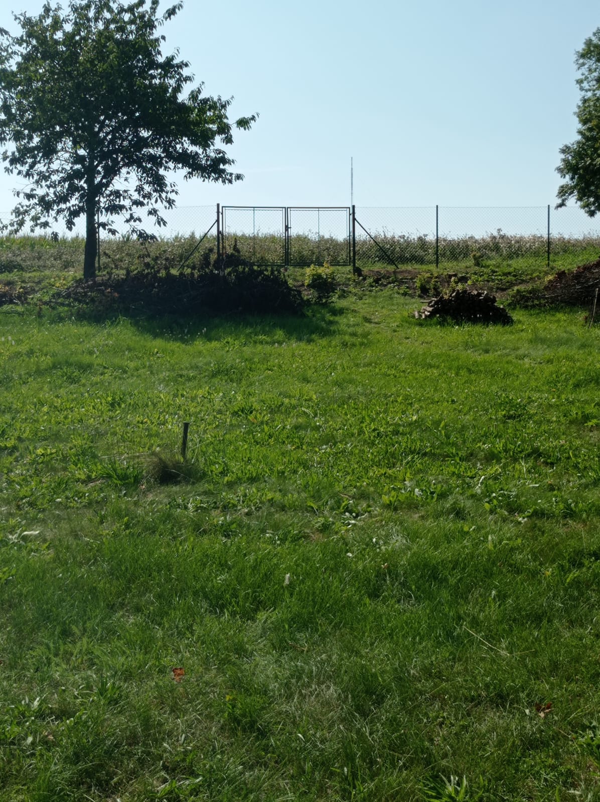 Oplocení zahrady Zlín